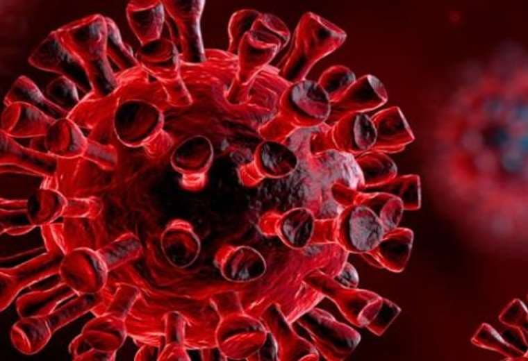 Los anticuerpos monoclonales, ¿un arma contra el coronavirus?