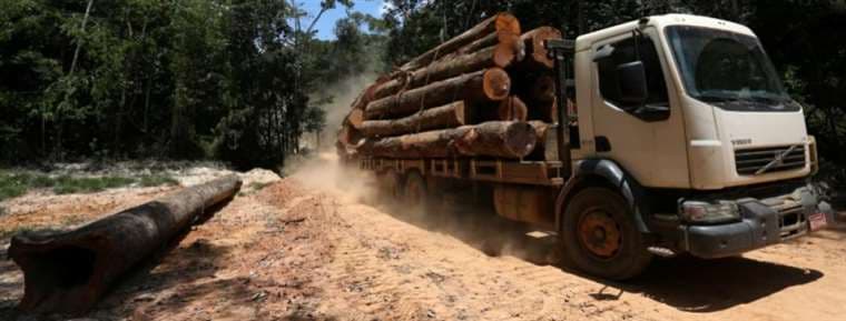 La deforestación no se detiene en la región. Foto Internet