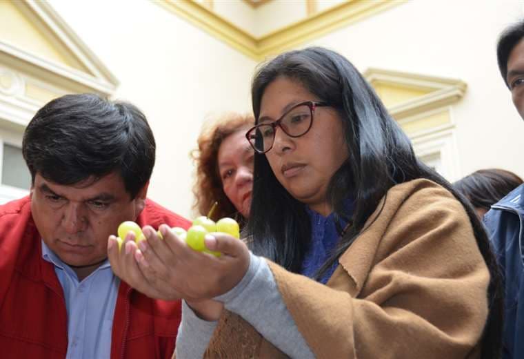 Eva Copa en un acto en el Senado. Foto: Prensa Senado. 