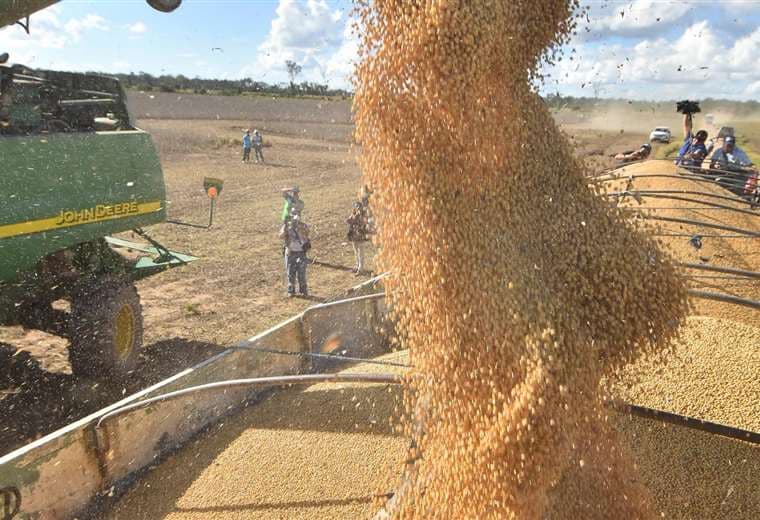 En 2019, el sector agropecuario registró un crecimiento del 5,3%, según el INE. Foto: Ricardo Montero
