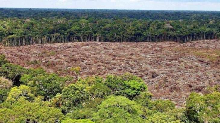 La deforestación en la Amazonia continúa sin parar. Foto internet