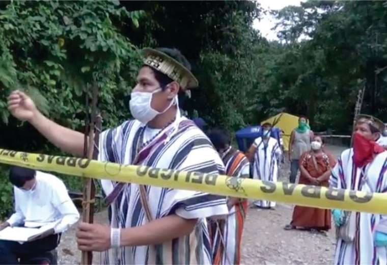 Indígenas recurren a las plantas para combatir al coronavirus en Lima 