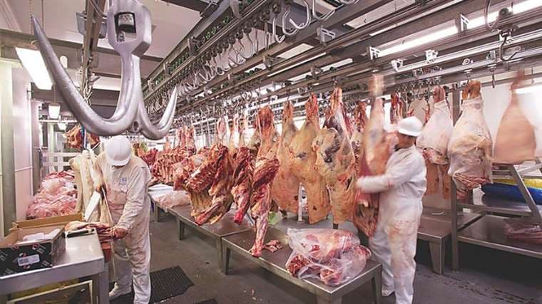 Bolivia registra buen desempeño en exportación de carne bovina  