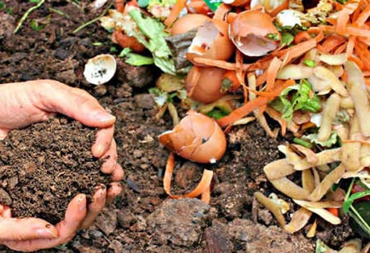La preparación de compost o abono con desechos naturales ayuda a crear una conciencia ambientalista