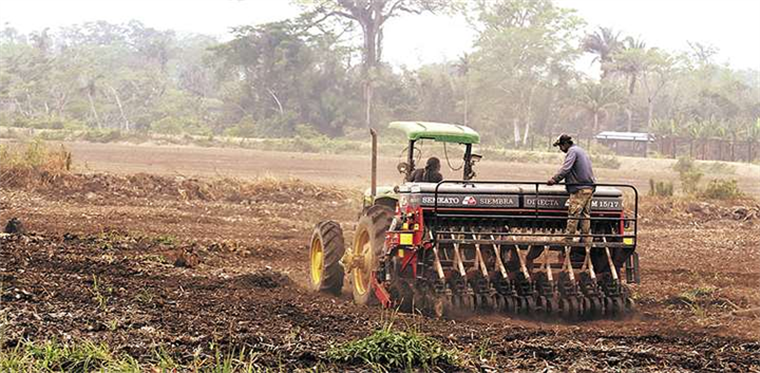El sector agropecuario es uno de los motores de la economía de Bolivia. Foto. Internet 