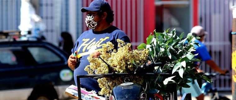 Muchas personas se ganan la vida vendiendo hierbas medicinales/ Foto: Hernán Virgo