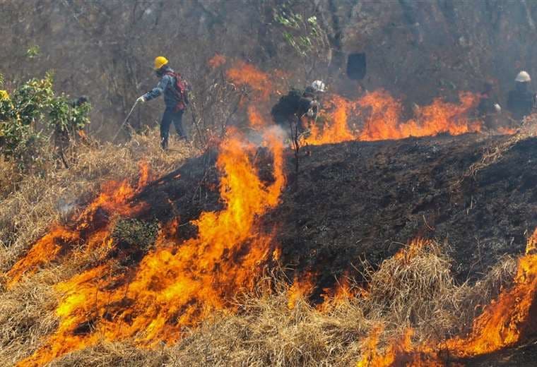 Según la ABT, en 2019 se quemaron 5,3 millones de hectáreas en Bolivia. Foto: Ipa Ibañez