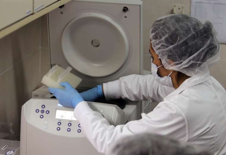 El equipo procesa las pruebas PCR para detectar coronavirus