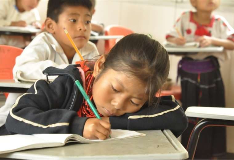 En Bolivia todavía faltan definirse algunos parámetros relativos al año escolar. Foto referencial