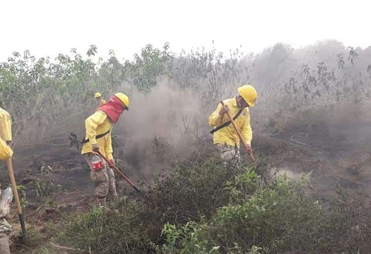 El personal logró mitigar el fuego en la zona del Canal Tamengo