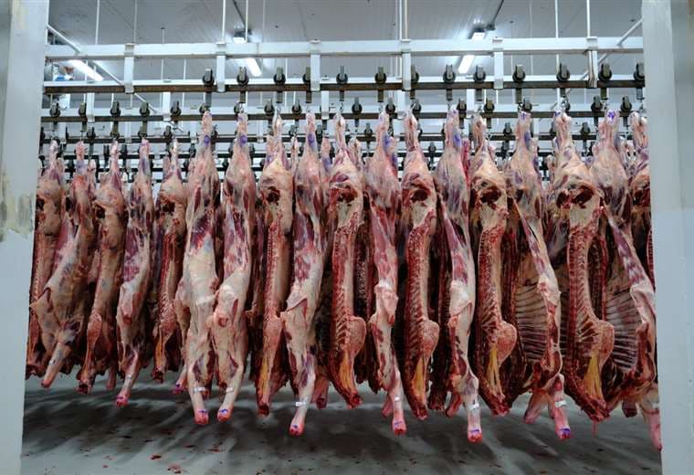 Ganaderos estiman un excedente exportable de 40.000 toneladas de carne para este año