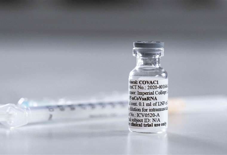 Muchos laboratorios están en busca de la vacuna. Foto Internet