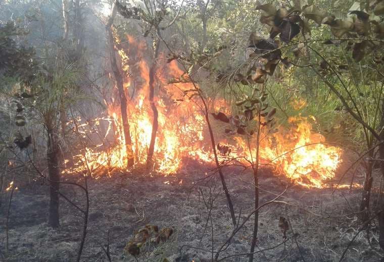 En agosto se producen incendios constantes en la zona de la Chiquitania