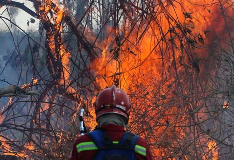 En 2019 se quemaron 5.3 millones de hectáreas en el país. Foto: Ipa Ibañez