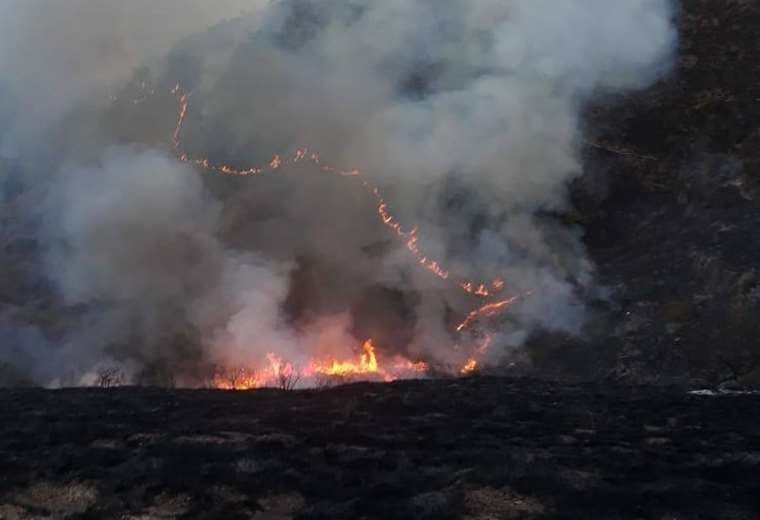Incendio forestal en Pajchani, Tarija