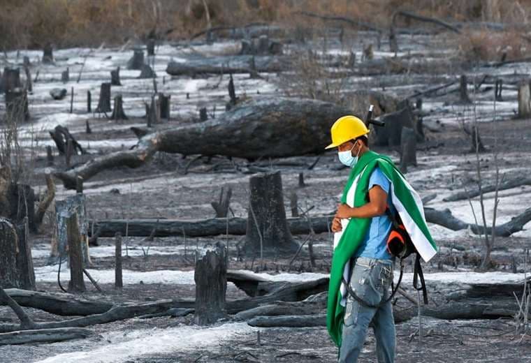 En 2019, los incendios afectaron a cerca de 4 millones de hectáreas. Fotos: Ipa Ibañez / Hernán Virgo