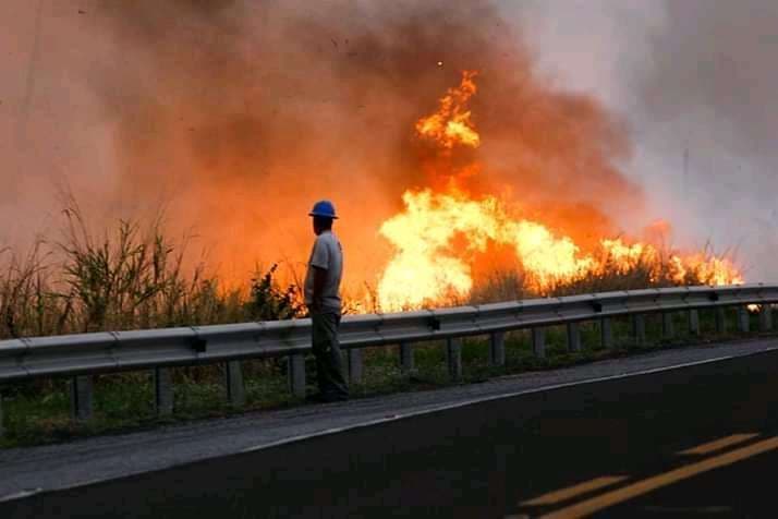 El Pantanal está en llamas. Foto Internet