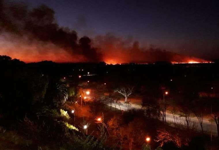 Los incendios en el delta del Paraná. Foto Internet