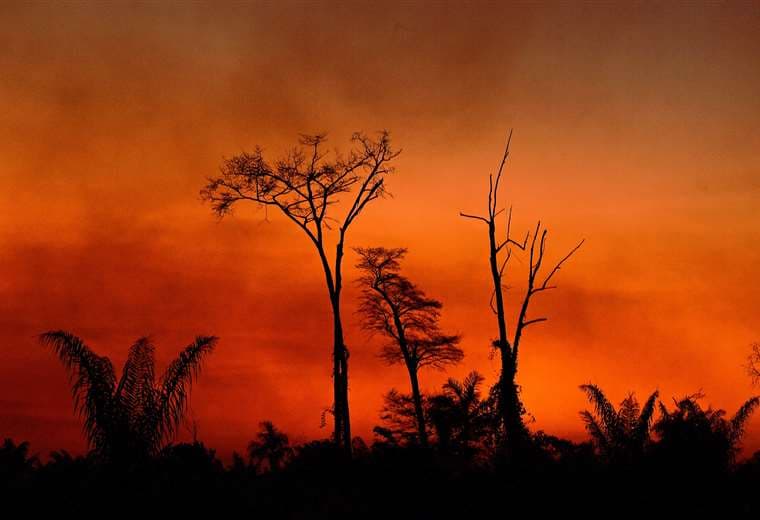  133/5000 El humo se eleva desde un área de tierra quemada en el Parque Indígena Xingu, estado de Mato Grosso, Brasil. Foto AFP