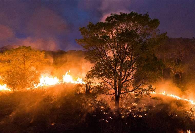 Incendio del Pantanal en Mato Grosso. Foto AFP