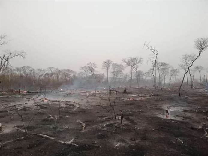 En San José de Chiquitos lograron sofocar un incendio de magnitud/Foto: Límber Cambará