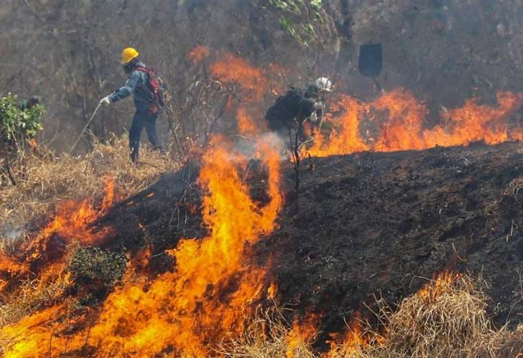 En lo que va de año se quemaron más de 330.000 hectáreas. Foto referencial: Ipa Ibañéz