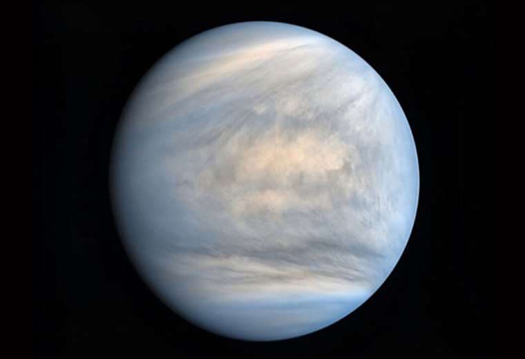 Hallan posibles indicios de vida en Venus