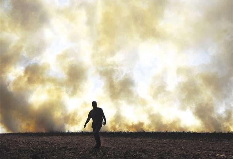 Brasil declara el estado de calamidad en el Pantanal por el fuego. Foto: AFP