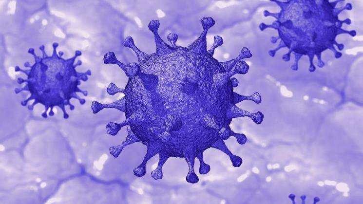 La lucha contra el virus convoca a los laboratorios de investigación