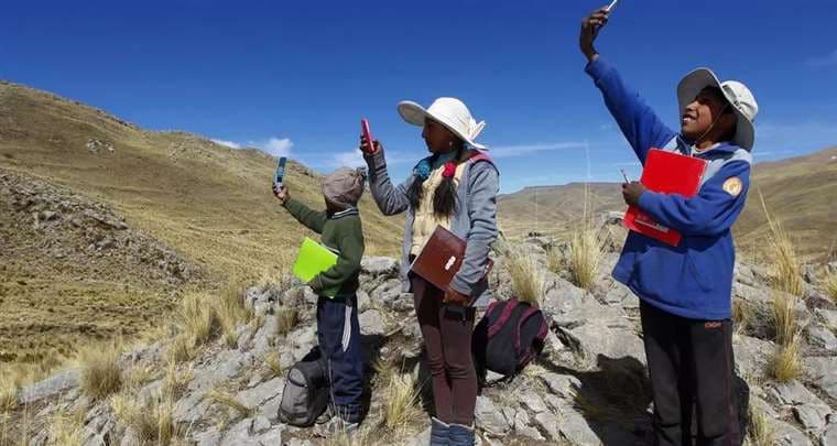 Niños peruanos tratando de encontrar señal para pasar clases. Foto AFP
