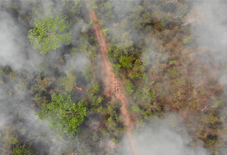 El fuego arrasa con los bosques de Santa Cruz. Foto. EL DEBER  