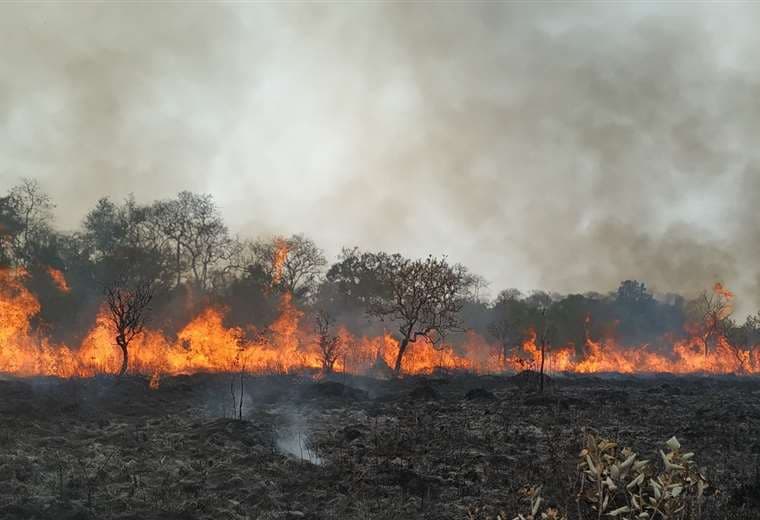 Las llamas avanzan en la región. Foto: Gobernación de Santa Cruz