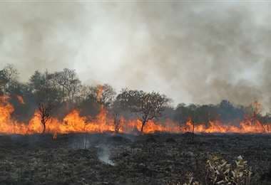 23 incendios forestales siguen activos en Santa Cruz