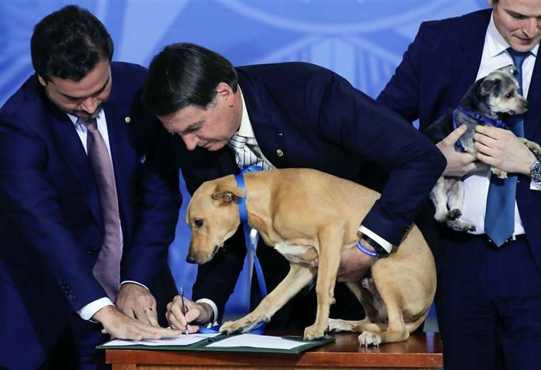 El mandatario sostiene a su perro durante la firma de la ley. Foto AFP