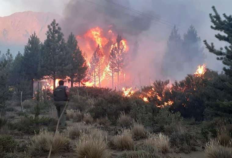Avanza incendio en la Patagonia argentina y arden 8.500 hectáreas de bosque nativo