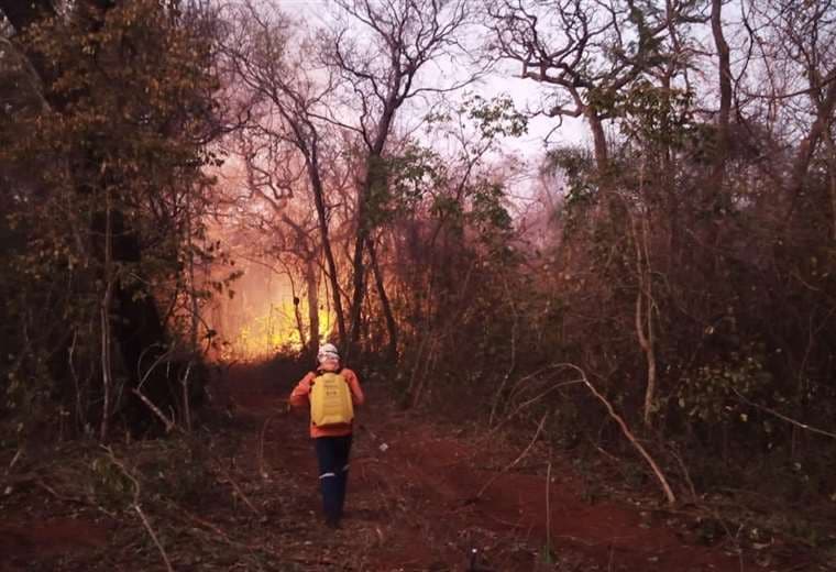 Hasta la fecha, los incendios han afectado a más de 2,6 millones hectáreas