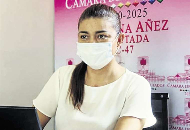 La diputada Áñez acusa a su colega Héctor Arce por la agresión