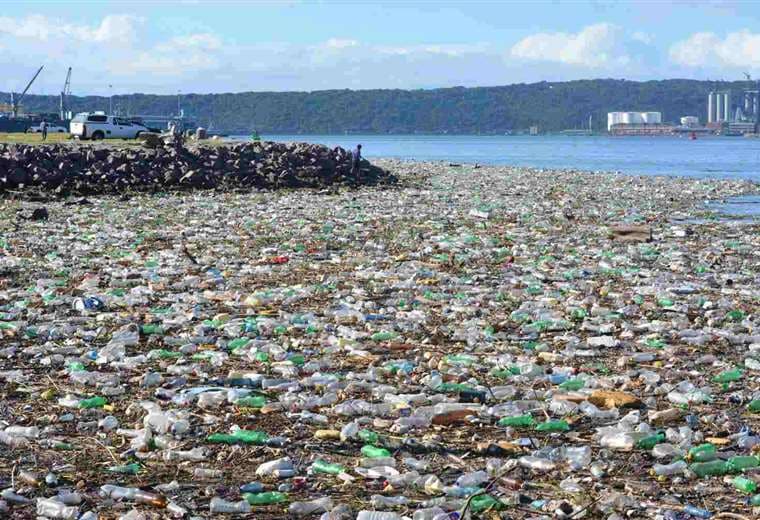 Los ríos y mares son los más perjudicados con los plásticos