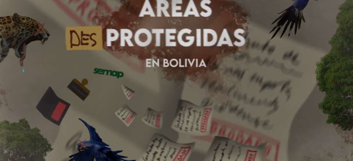 Reportaje sobre áreas protegidas en Bolivia/Diseño: Adriana Vega