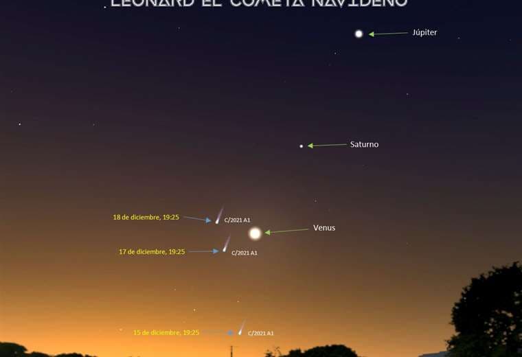 Expertos muestran cómo observar el cometa Leonard