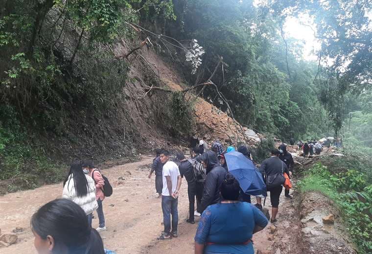 En la zona de Petacas se registró un derrumbe que cubrió la carretera.