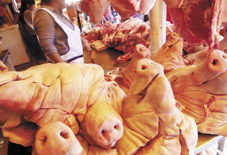 Productores garantizan abastecimiento de carne de cerdo para Navidad y Año Nuevo