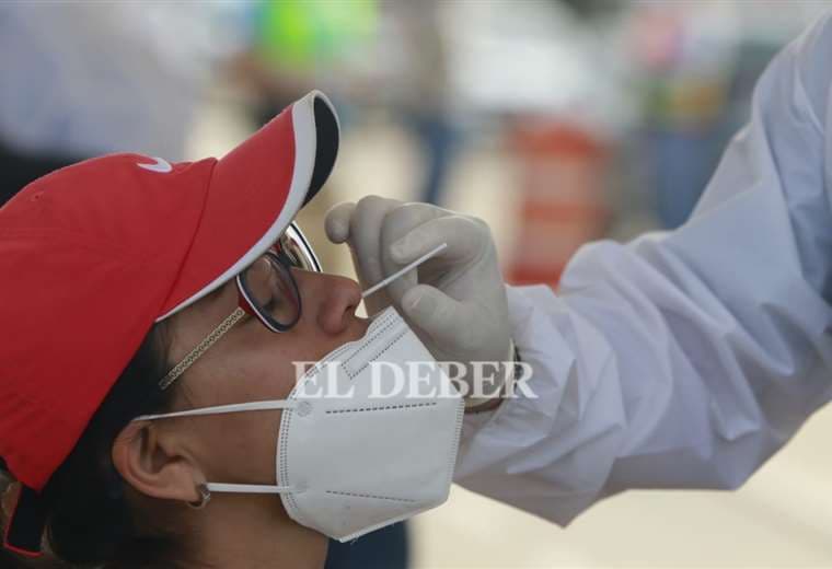 Las pruebas de antígeno nasal son gratuitas. Foto: Ricardo Montero