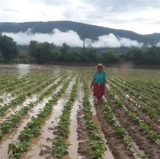 Cultivos inundados en Pampagrande