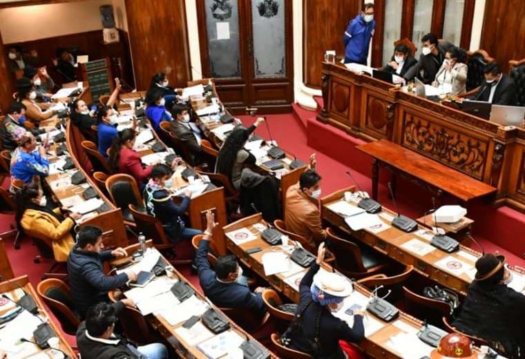 La Cámara de Diputados sancionó la Ley (Foto: Oficial)