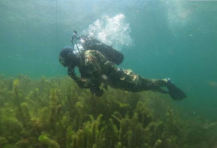 Realizaron inmersiones de 10 metros de profundidad. Fotos La Aramada en Acción
