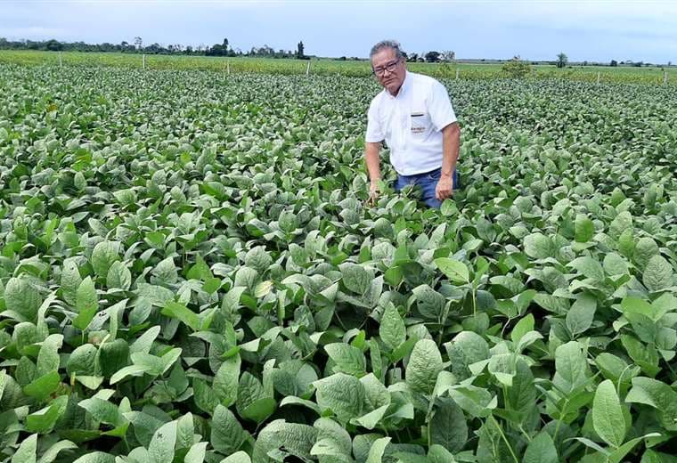 Agricultores rechazan posible abrogación de decretos que permiten uso de biotecnología