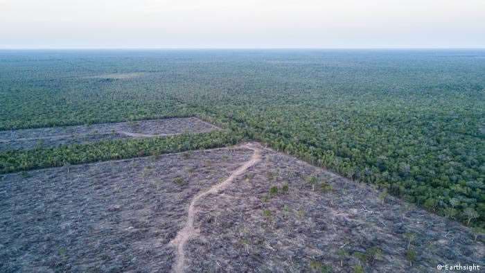 Fabricantes de autos: complicidad en la deforestación del Chaco paraguayo