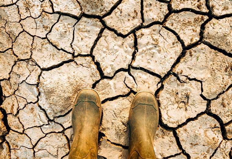 Las sequías azotan varias regiones