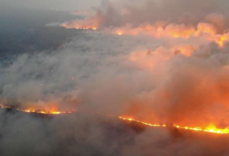 En 2019 el fuego arrasó con millones de hectáreas 